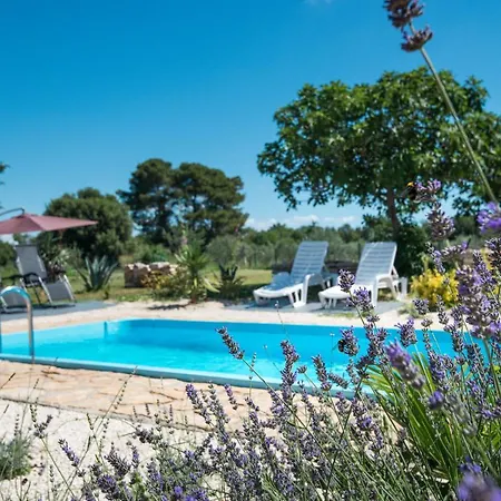 Complex Of Two Palera Xxl With Private Pools