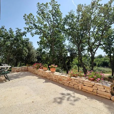 Complex Of Two Palera Xxl With Private Pools *