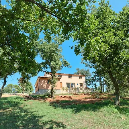 Complex Of Two Palera Xxl With Private Pools *